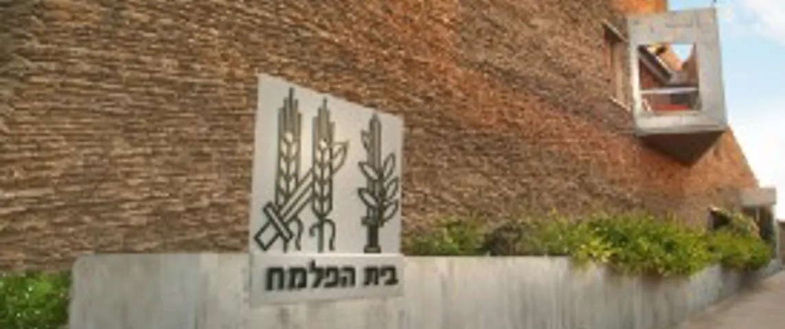 Palmach Png