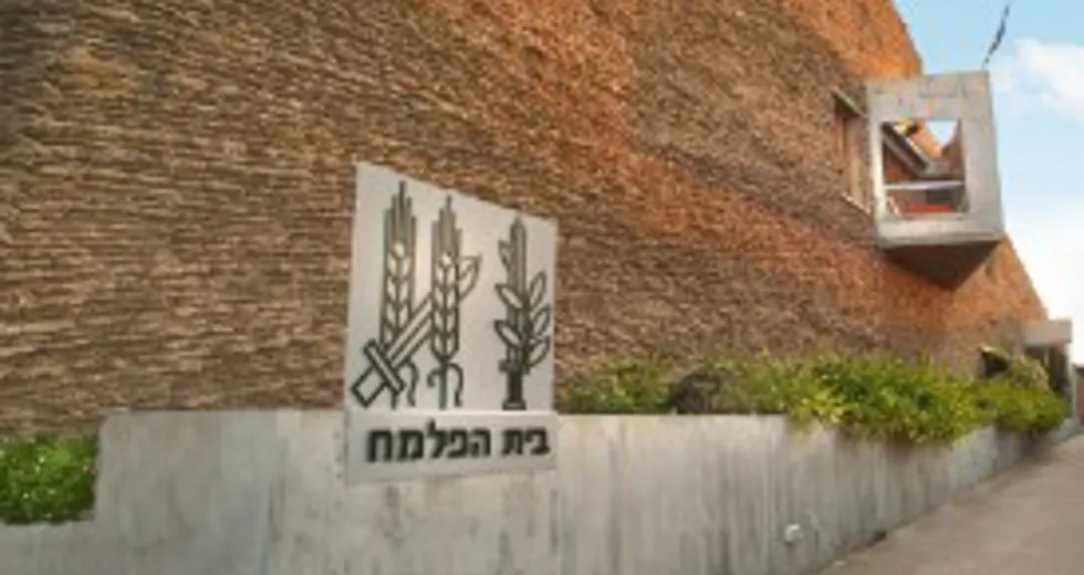 Palmach Png
